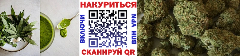 shop официальный сайт  как найти закладки  Черноголовка  Canna-Cookies конопля 
