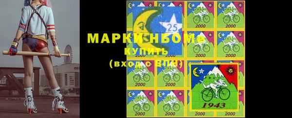 дживик Баксан