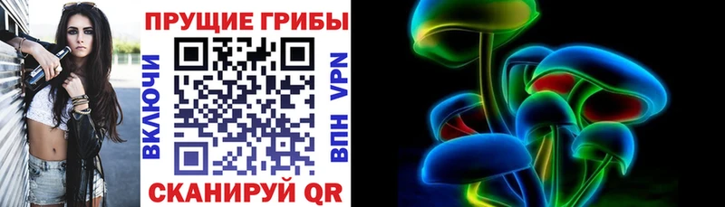 Галлюциногенные грибы GOLDEN TEACHER  купить   Черноголовка 