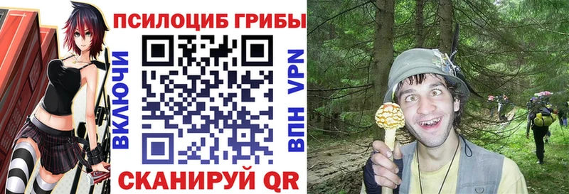 Псилоцибиновые грибы Psilocybine cubensis Черноголовка